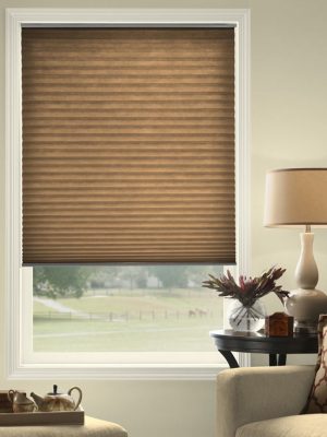 Honeycomb Blinds1