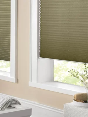 Honeycomb Blinds3