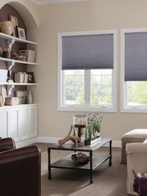 Honeycomb Blinds4