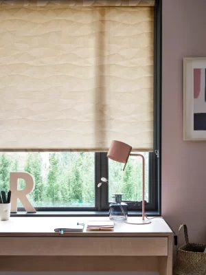 roller blinds3